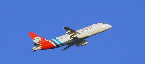 Летевший из Салехарда в Екатеринбург SSJ100 столкнулся со стаей птиц