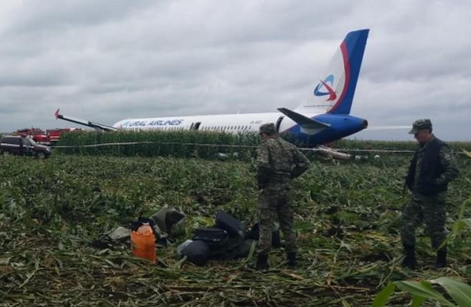 «Уральские авиалинии» разбирают севший в поле самолет A321