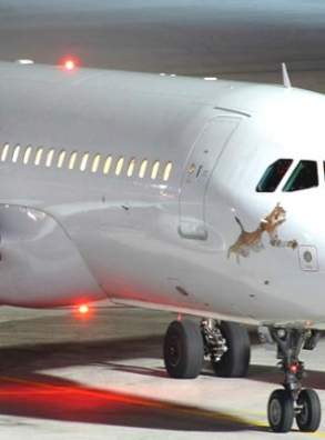 Литовский авиахолдинг купит вторую из крупнейших авиакомпаний Латвии