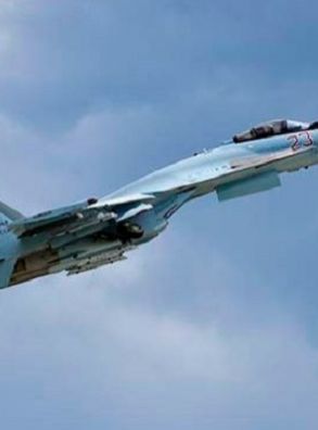 В Турции допустили закупку российских истребителей